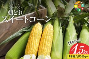 DG035 【令和9年度出荷分】 5月下旬から出荷！ 朝どれ スイートコーン 200g以上×18本以上 4.5kg ～名水百選の里 島原産～
