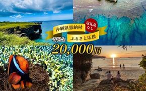 【返礼品なし】沖縄県恩納村ふるさと応援寄附金 20000円