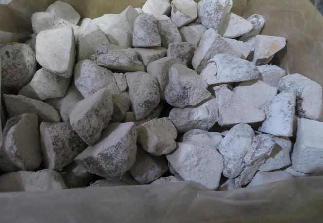 《先行予約》【芋家なか吉】後は植えるだけ カット種芋 1.5kg 丹波山の芋［ 京都 芋 いも イモ 新鮮 野菜 栽培 人気 おすすめ お取り寄せ 通販 ふるさと納税 ］ 261009_B-SG07