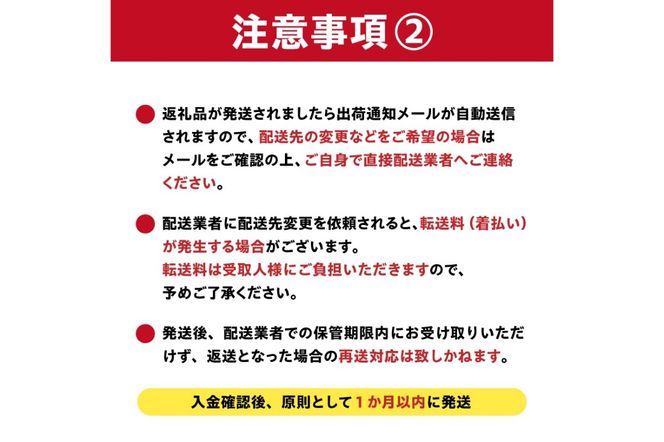 しなやかハンガー12P　【0007-027】