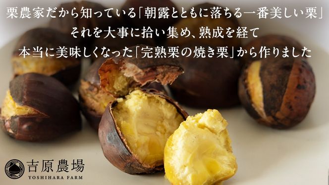 栗きんとん 「 栗の深雫 」 1箱 ～くりのしずく～ 6個 完熟 栗 くり クリ 和菓子 おかし お菓子 贈り物 ギフト 果物 フルーツ 秋 冬 [CX021ci]
