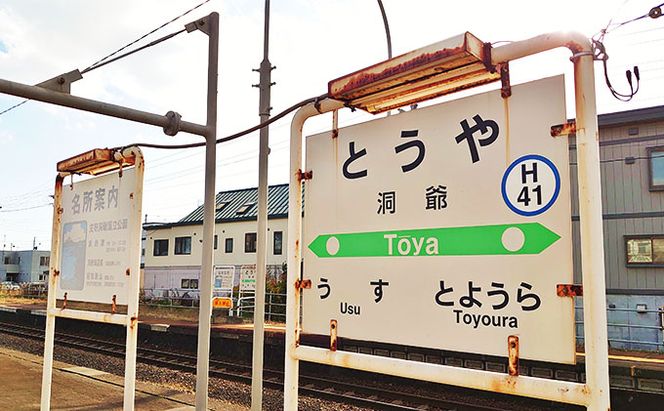 ◆洞爺駅◆mini駅名標 雑貨 日用品 JR北海道 もじ鉄 鉄道ファン ミニサイズ 