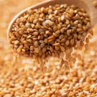 【無農薬・化学肥料不使用】生金ごま 100g