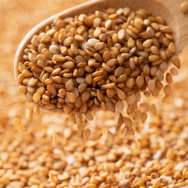 【添加物不使用のコールドプレス製法】こだわり素材のフレッシュオイル3本セット（ひまわり・えごま・金ごま）