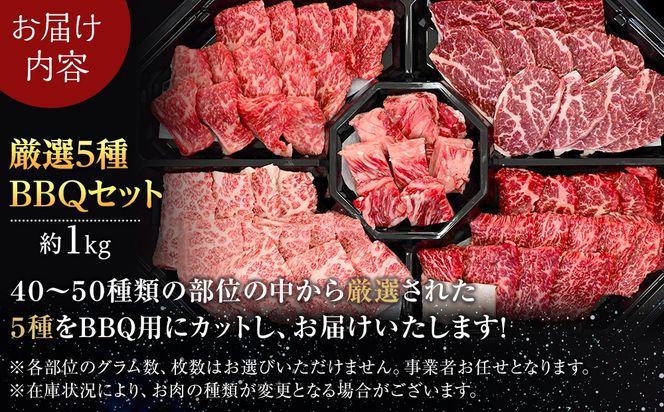 北海道産星空の黒牛 厳選5種BBQセット1kg【 肉 にく ニク 牛肉 牛肉赤身 赤身 牛肉セット バーベキュー 冷凍牛肉 贅沢牛肉 国産牛肉 北海道産牛肉 道産牛肉 簡単 お手軽 特製牛肉 標茶町 北海道 】 016641_AD045