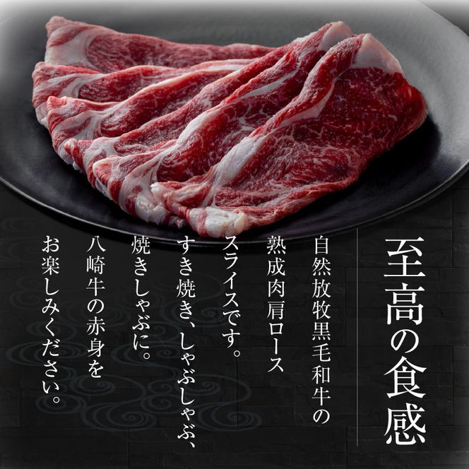 八崎牛の熟成ローススライス約250g×2 N0105-YC906