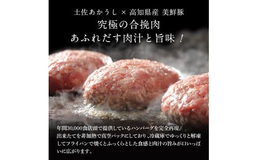 【CF-R7hbk】CDM043 ハンバーグとかぼちゃポタージュのセット（各3食）南瓜 かぼちゃ カボチャ スープ ポタージュ 土佐あかうし 四万十ポーク お店の味 ごはん 惣菜 3食分 レトルト 美味しい おいしい 国産 高知県産