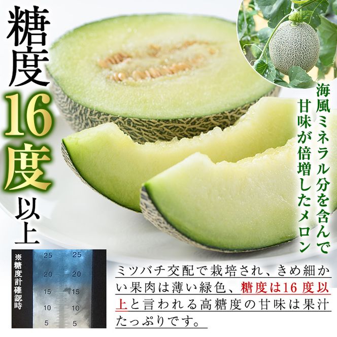 ＜先行予約受付中！2026年6月中旬以降順次発送予定＞数量限定！鹿児島県産南国グリーンメロン(2Lサイズ×2個) メロン フルーツ 果物 鹿児島 国産 青肉 ハウス ハウス栽培 期間限定 2L【東新グリーンファーム合同会社】akn062-08