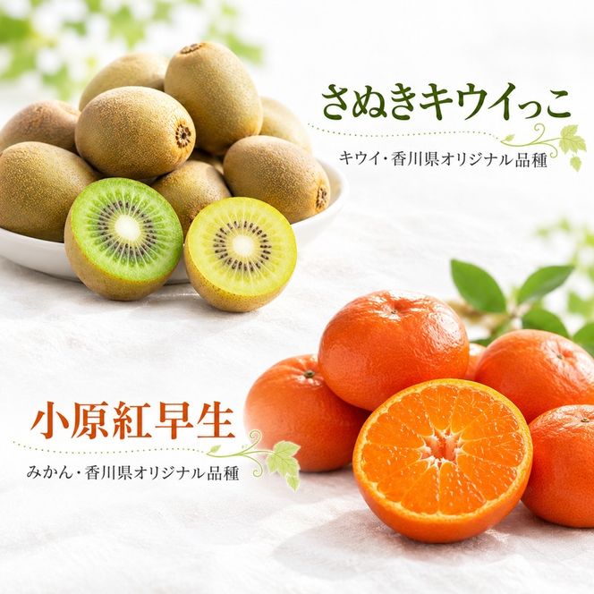 フルーツ 定期便 3回 香川県産 讃岐 さぬき さぬきひめ苺 いちご 苺 温室さぬき小原紅 紅みかん みかん 柑橘 さぬきキウイっこ キウイ 化粧箱 約1kg 約1.2kg 約800g 果物 くだもの 旬 2月発送 7月発送 11月発送 香川県 東かがわ市 46312744