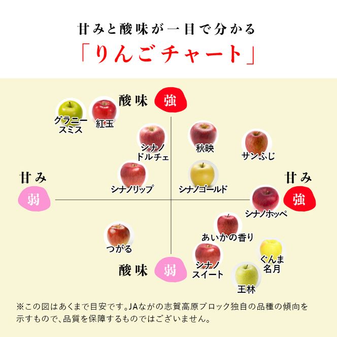 【2026年発送】志賀高原の麓で育った シナノドルチェ 秀16玉 約5kg りんご フルーツ 果物 おやつ 長野県 長野