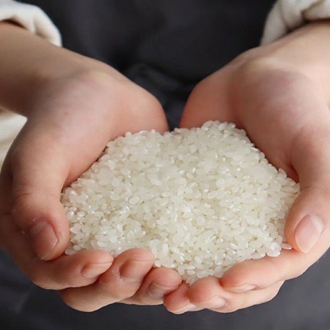ミルキークイーン 無洗米 5kg 令和8年産 米 お米 5キロ 白米 精米 産地直送 こめ コメ おこめ 送料無料 長野 長野県 長野県産 小諸 小諸市