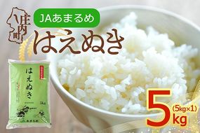 【令和8年産】JAあまるめ はえぬき 5kg 5kg×1袋 庄内町産 山形県 余目産 ブランド米 米 国産 単一原料米 山形 庄内平野 庄内
