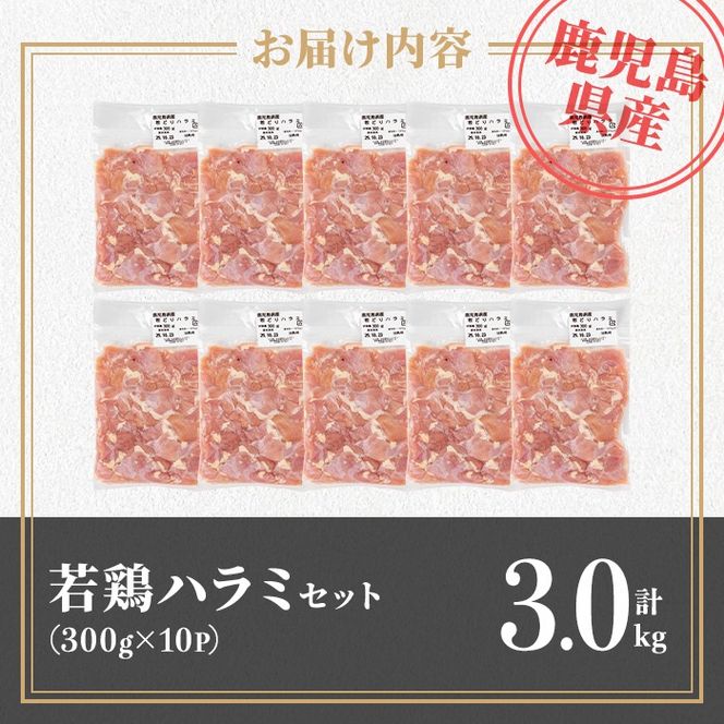 isa716 鹿児島県産若鶏ハラミセット(計3kg・300g×10P) 鹿児島県産 国産 鶏肉 鳥肉 とり肉 ハラミ 希少部位 炭火焼き 焼肉 BBQ 炒め料理 おつまみ 真空 小分け 【TRINITY】