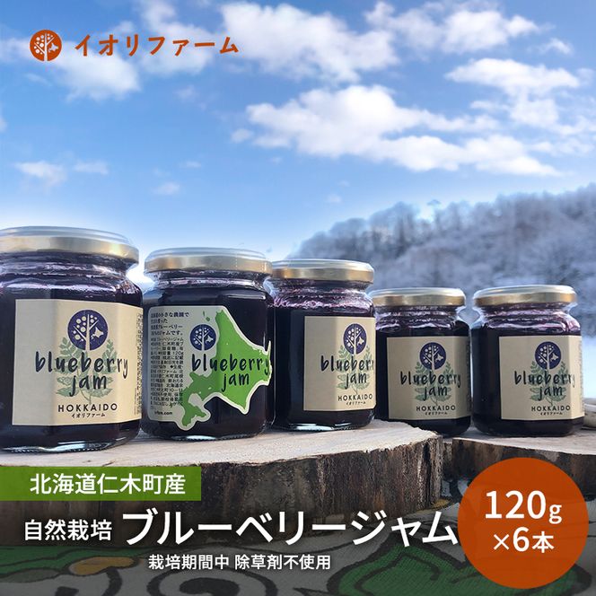 北海道仁木町産 ブルーベリージャム 120g×6本 [iori farm] 栽培期間中 除草剤不使用 果物 詰合せ セット フルーツ 