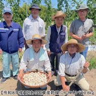 【令和８年産】【訳あり】毎日食べて元気モリモリ！国東産乾燥にんにく/バラ0.8kg/こだわり減農薬栽培_2611R