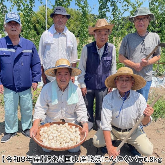 【令和８年産】【訳あり】毎日食べて元気モリモリ！国東産乾燥にんにく/バラ0.8kg/こだわり減農薬栽培_2611R