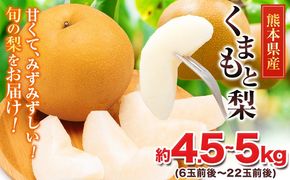 ＜2026年先行予約＞ 梨 くまもと梨 秋 旬 なし 幸水 豊水 先行 果物 くだもの フルーツ 送料無料 あきづき 甘太 新高 新興 約4.5～5kg(6玉～22玉前後) 熊本県産【着日指定不可】《8月下旬-11月中旬頃出荷》旬 果物 お取り寄せ ナシ---fn_cngns_h811_r8_13500_5kg---