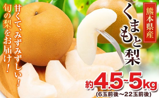 ＜2026年先行予約＞ 梨 くまもと梨 秋 旬 なし 幸水 豊水 先行 果物 くだもの フルーツ 送料無料 あきづき 甘太 新高 新興 約4.5～5kg(6玉～22玉前後) 熊本県産【着日指定不可】《8月下旬-11月中旬頃出荷》旬 果物 お取り寄せ ナシ---fn_cngns_h811_r8_13500_5kg---