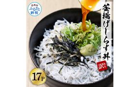 【CF-R7hbk】KGP033-W　訳あり高知県産釜揚げしらす　50g×17パック（小分け）