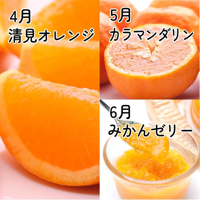 【定期便】厳選 柑橘定期便 S 3回（4～6月）※北海道・沖縄・離島への配送不可※4月・5月・6月に発送
