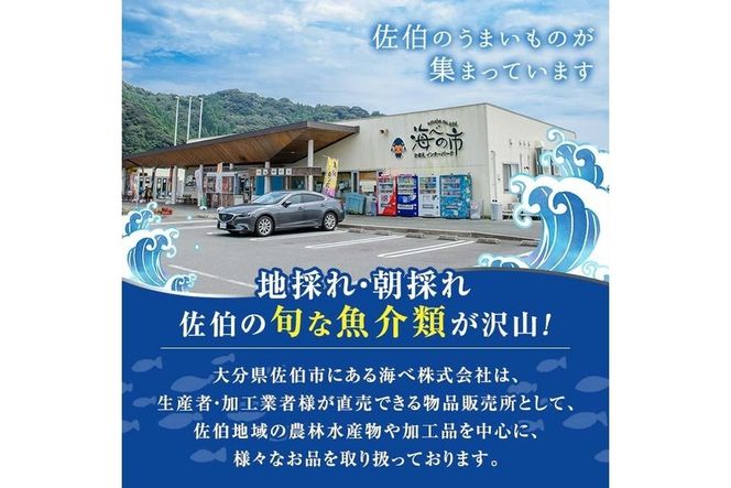 こだわりの塩うにセット(60g×3本)うに ウニ 雲丹 塩うに ミョウバン不使用 冷凍 海の直売所 大分県 佐伯市【AS93】【海べ】