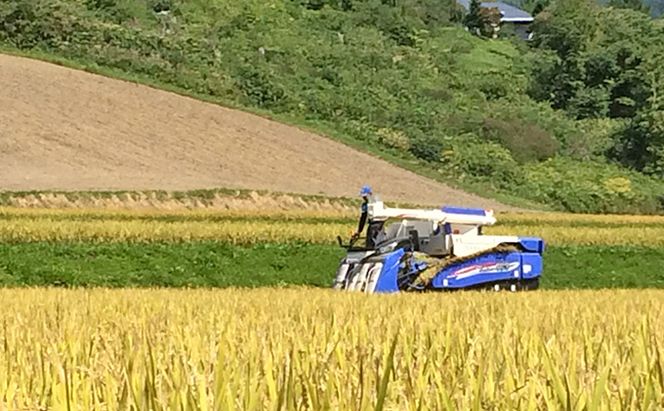 【ANA機内食採用】 北海道産 ゆめぴりか 5kg 2袋 計10kg 令和8年産 9月中旬より発送  財田米 精米  お米 ブランド米 国産 お取り寄せ 産地直送 宮内農園 送料無料 北海道 洞爺湖町