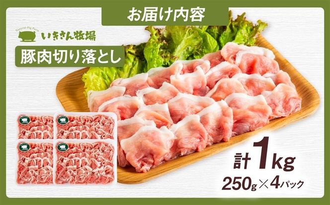 一貴山豚 切り落とし 計1kg(250g×4p) 糸島市 / いきさん牧場 豚肉 冷凍[AGB057] 豚肉 豚 ブランド豚 一貴山豚 ポーク 切り落とし 肉 250g