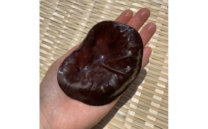 【鳥取県産】生きくらげ 1kg 312011_EZ005