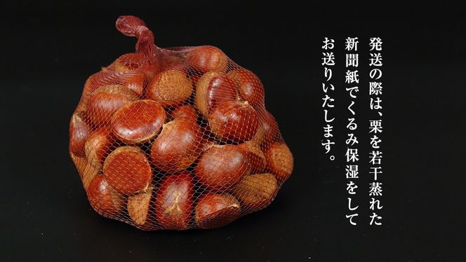 厳選 生和栗 1kg 【庄七農園】 栗 果樹 生栗 栗ご飯 渋皮煮 甘露煮 マロングラッセ フルーツ 茨城県 和栗 [BK40-NT]