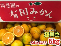【ちょっと傷あり】極早生・有田みかん 約5kg (SまたはSSサイズ)_ZF6005n