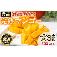 【0145942a】＜秀品・数量限定！＞南国鹿児島県産の太陽の恵み！完熟マンゴー(大玉1個・550g以上) 果物 フルーツ 果実 デザート 国産 冷蔵 【東串良物産館ルピノンの里】【0145912a】《先行予約受付中！2027年7月下旬頃までに発送》＜秀品・数量限定！＞南国鹿児島県産の太陽の恵み！完熟マンゴー(大玉1個・500g以上) 果物 フルーツ 果実 デザート 国産 冷蔵 【東串良物産館ルピノンの里】