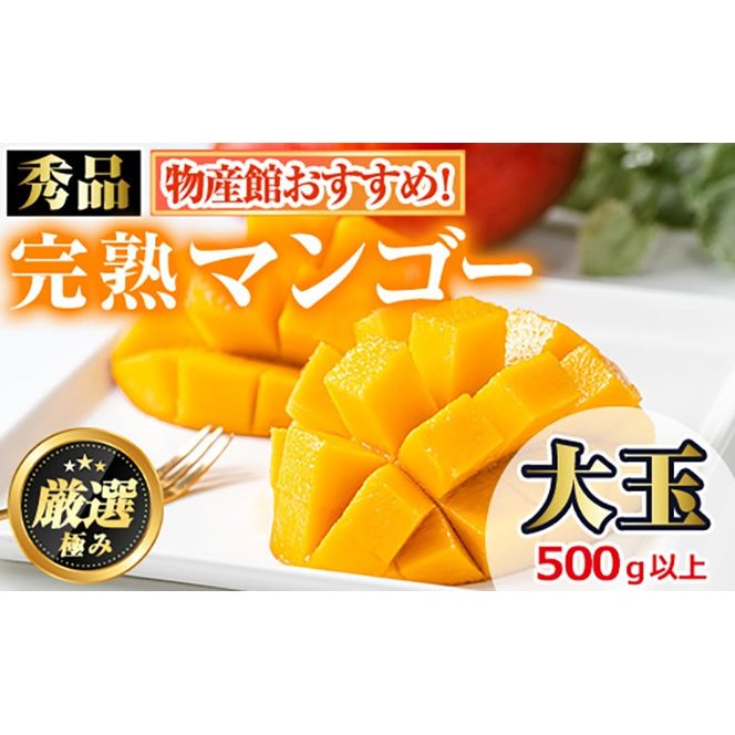 【0145942a】＜秀品・数量限定！＞南国鹿児島県産の太陽の恵み！完熟マンゴー(大玉1個・550g以上) 果物 フルーツ 果実 デザート 国産 冷蔵 【東串良物産館ルピノンの里】【0145912a】《先行予約受付中！2027年7月下旬頃までに発送》＜秀品・数量限定！＞南国鹿児島県産の太陽の恵み！完熟マンゴー(大玉1個・500g以上) 果物 フルーツ 果実 デザート 国産 冷蔵 【東串良物産館ルピノンの里】