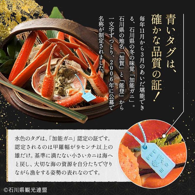 朝茹で加能ガニ姿3杯入り 蟹 かに ズワイガニ グルメ 海産物 贈り物 加賀 F6P-3187