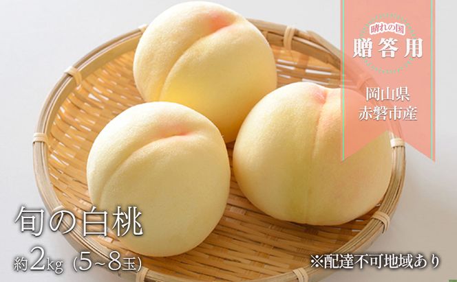 桃 2026年 先行予約 晴れの国 贈答用 旬の白桃 約2kg（5～8玉） もも モモ 岡山県 国産 フルーツ 果物 ギフト 