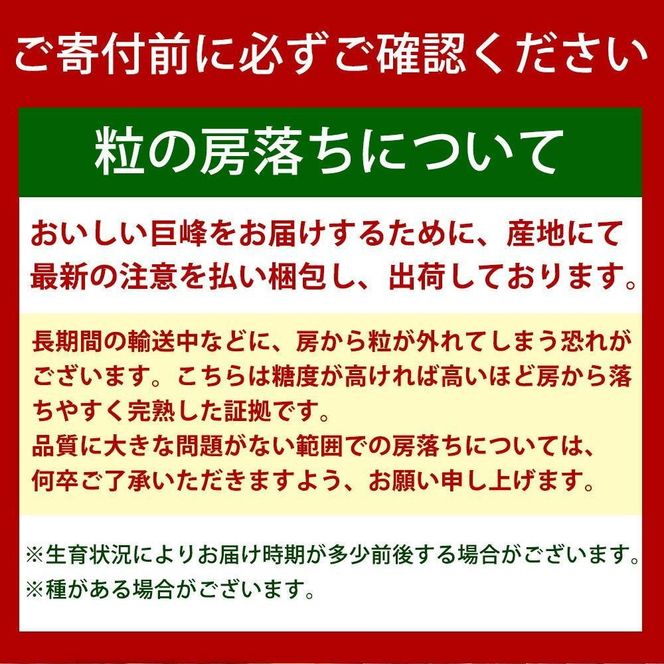 【ご家庭用】紀州有田産の巨峰ぶどう約2kg【先行予約】【2026年8月下旬以降発送予定】AN031