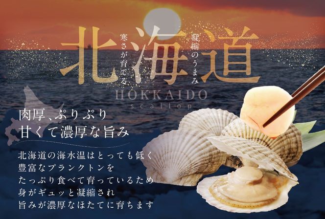 訳あり 北海道産 冷凍 ホタテ 計 800g（ 400g × 2箱 ）【MT0002TX0】