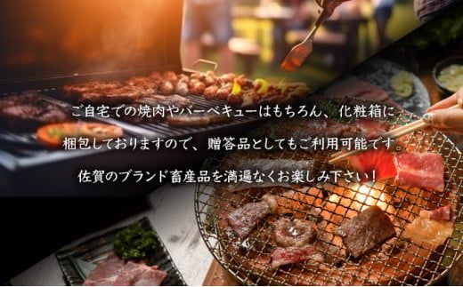 佐賀ざんまい！選べる内容量 厳選 5種 or 6種 焼肉盛り合わせ600g（2～3人前）1000g（4～5人前） 佐賀牛 肩ロース カルビ 肥前さくらポーク 豚バラ 豚ロース 有明骨太鶏 モモ