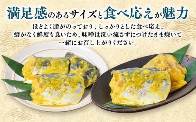 厚切り 本さわらの味噌漬け 約1kg さわら 鰆 味噌 魚 味付き 焼くだけ 簡単調理 ごはんに合う おかず お弁当 惣菜 冷凍