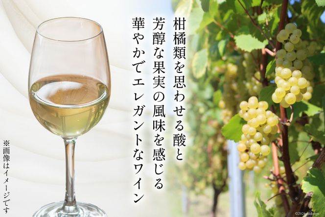 白 ワイン ジョイア シャルドネ 750ml 4本 [Poggio Verde（ポッジョ・ヴェルデ） 長野県 池田町 48110684] 白ワイン わいん 国産ぶどう使用 お酒 酒 アルコール