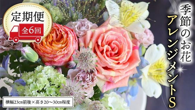 y錧}szցG߂̂ԃAWgS6 AWg  [CT017ci]