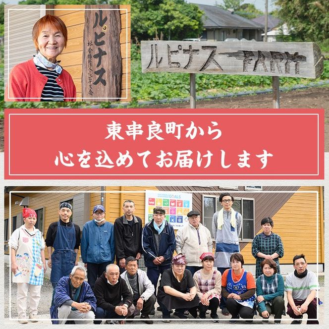 【0111505a】《思いやり型返礼品》発芽玄米のお餅・あくまき・甘酒(発芽玄米もち90g×10個、発芽玄米灰汁巻270g×2本、発芽玄米甘酒430g×2P)餅 もち あま酒 セット 詰合せ【ルピナス会】