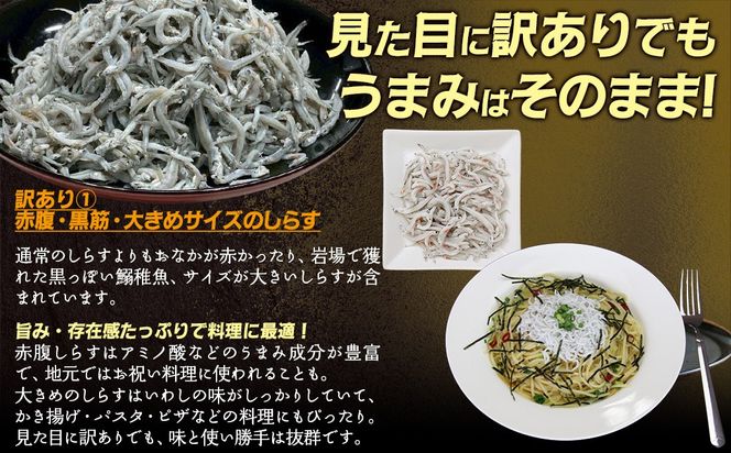 訳あり黒筋釜あげしらす 1kg IKTB016 