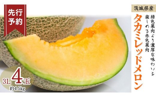 《 先行予約 》 タカミ レッド メロン 3L 4玉 ( 約 4.5kg ) 【 2026年5月下旬発送開始 】  果物 フルーツ 3Lサイズ タカミメロン 赤肉 めろん 期間限定 旬 国産 厳選 [DV012us]