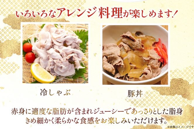 豚肉 宮崎県産 豚バラ しゃぶしゃぶ用 300g 4p 計 1.2kg セット [TRINITY 宮崎県 日向市 452061331] 冷凍 小分け しゃぶしゃぶ スライス 豚バラ肉 宮崎 豚バラ薄切り 薄切り