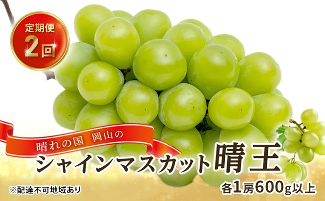 ぶどう 2026年 先行予約 晴れの国 岡山の シャイン マスカット 晴王 定期便 2回（各1房600g以上） 葡萄  岡山県産 国産 フルーツ 果物 ギフト 