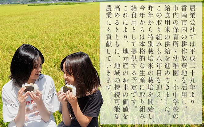 令和8年産 コシヒカリ 定期便【２回定期便】高知県香南市産 特別栽培米 コシヒカリ ２ｋｇ Wnu-0006