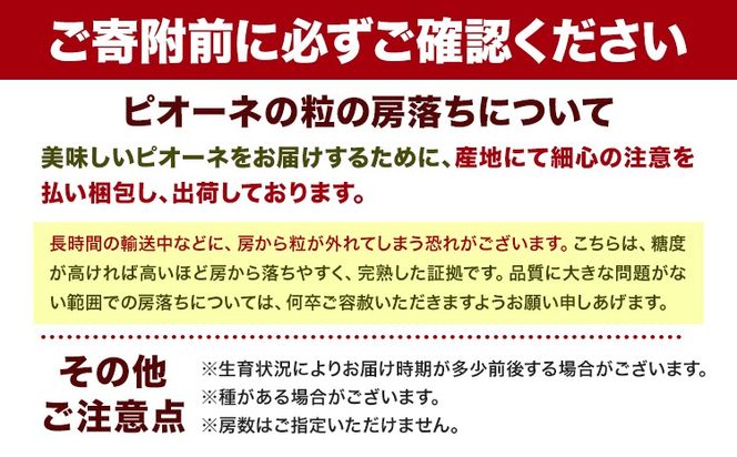 【先行予約】紀州和歌山産 ピオーネ 約2kg 3房-5房 魚鶴商店 《2026年8月下旬-9月下旬頃出荷》 和歌山県 日高川町 フルーツ ぶどう 巨峰 2kg 和歌山県産 送料無料---wshg_cuot57_8g9g_24_20000_2kg---