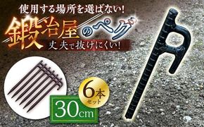 鍛造ペグ 30cm 6本セット / キャンプ キャンプ用品 ペグ キャンプ場 アウトドア用品 / 南島原市 / 重光刃物鍛造工場[SEJ019]