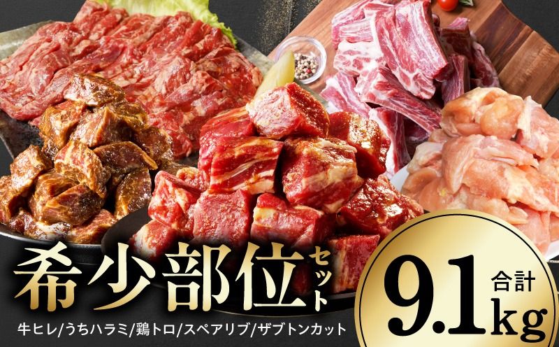 mrz0505 [氷温熟成×極味付け/特製ダレ]希少部位セット 合計9.1kg[小分け 希少部位 ヒレ 鶏肉 スペアリブ はらみ ハラミ 牛肉 焼肉 BBQ 簡単調理 味付き]