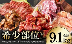 mrz0505 【氷温熟成×極味付け/特製ダレ】希少部位セット 合計9.1kg【小分け 希少部位 ヒレ 鶏肉 スペアリブ はらみ ハラミ 牛肉 焼肉 BBQ 簡単調理 味付き】